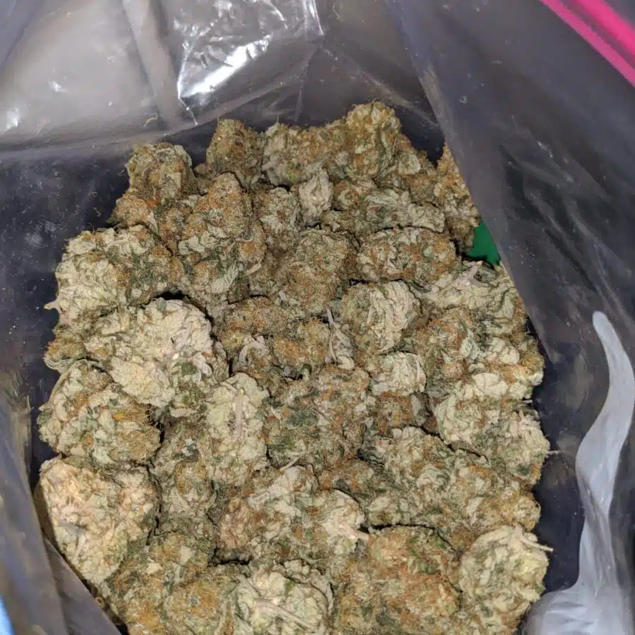 larry og dod 4 I Larry OG - *Deal of the Day*