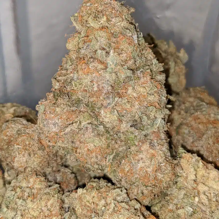 maui wowie 1 I Maui Wowie