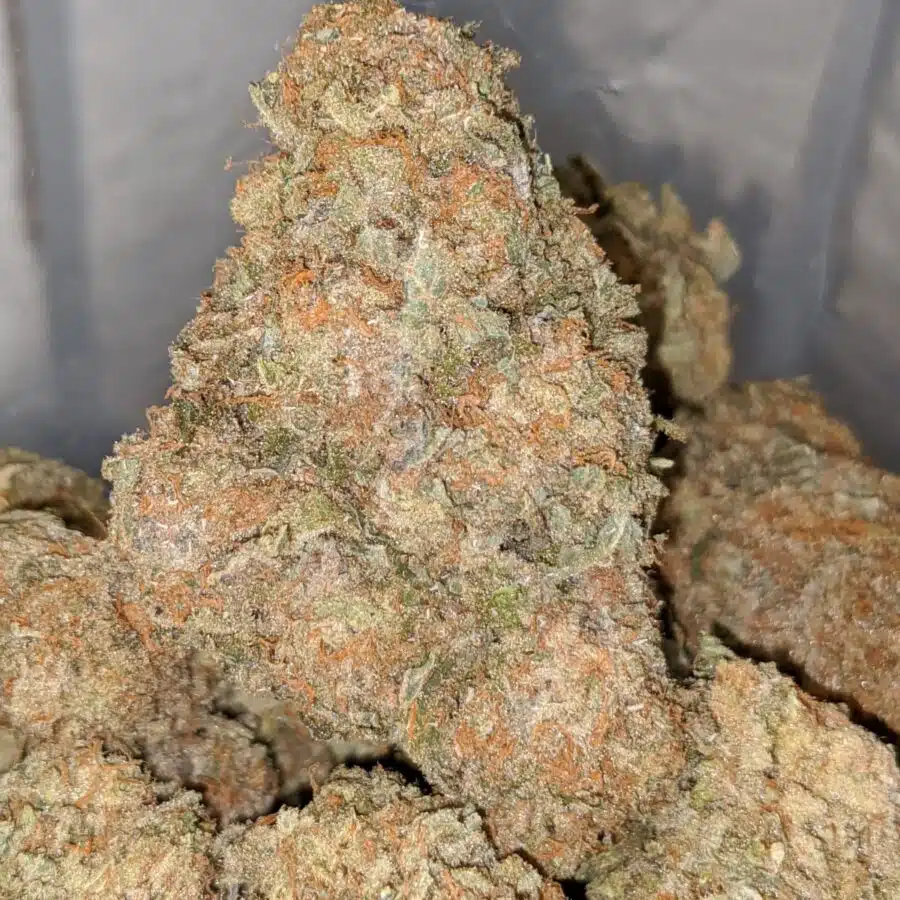maui wowie 2 I Maui Wowie