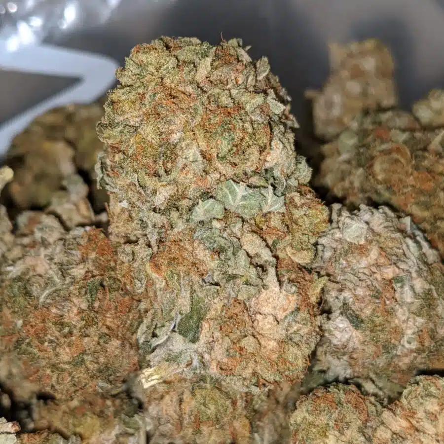 sour kush bs 2 I Sour Kush Bulk Special