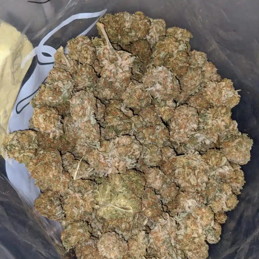 sour kush bs 3 I Sour Kush Bulk Special