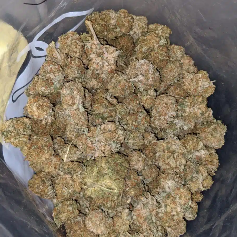 sour kush bs 4 I Sour Kush Bulk Special