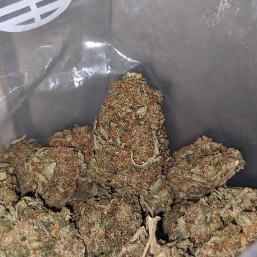tony lindsay og deal of the day 3 I Tony's Lindsay OG - *Deal Of The Day*