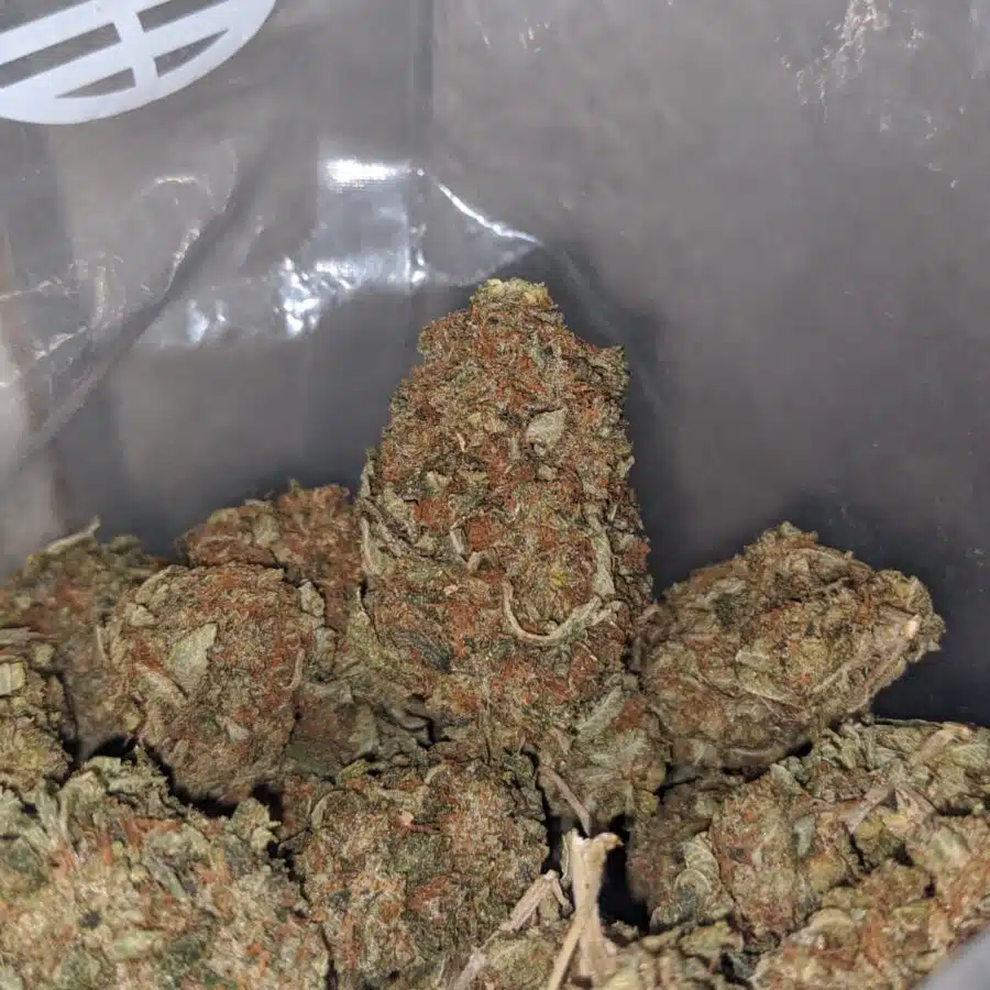tony lindsay og deal of the day 3 I Tony's Lindsay OG - *Deal Of The Day*
