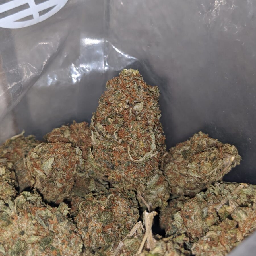 tony lindsay og deal of the day 4 I Tony's Lindsay OG - *Deal Of The Day*