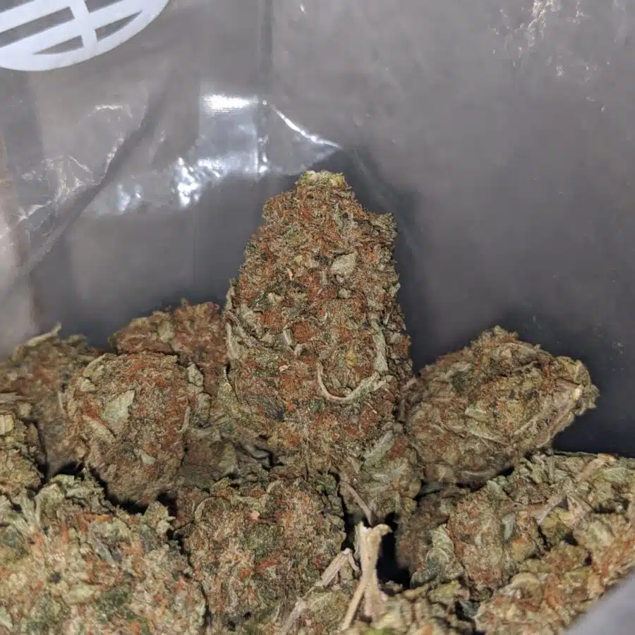 tony lindsay og deal of the day 4 I Tony's Lindsay OG - *Deal Of The Day*