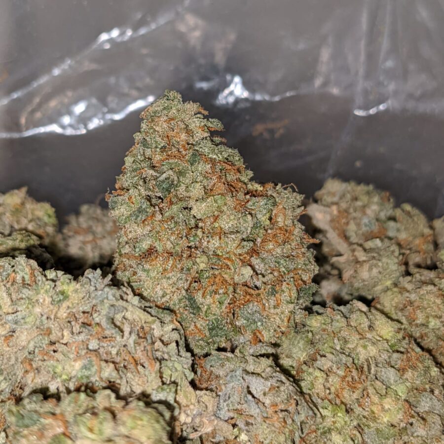 white kosher aa 1 I White Kosher AA+