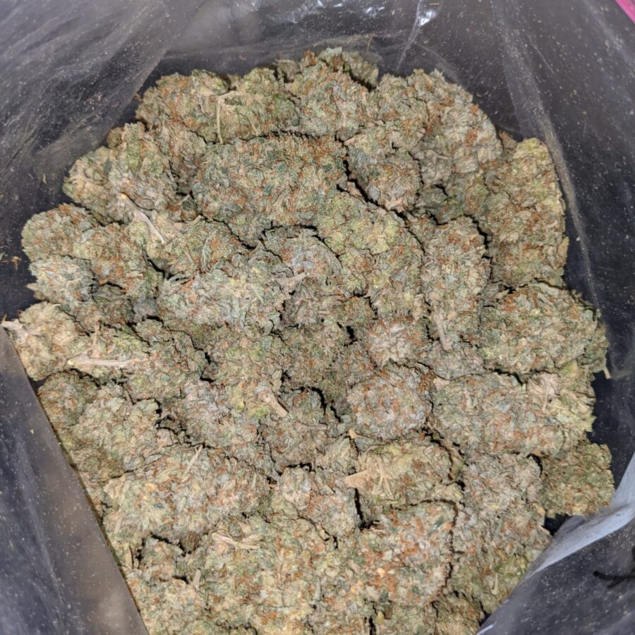 white kosher aa 3 I White Kosher AA+