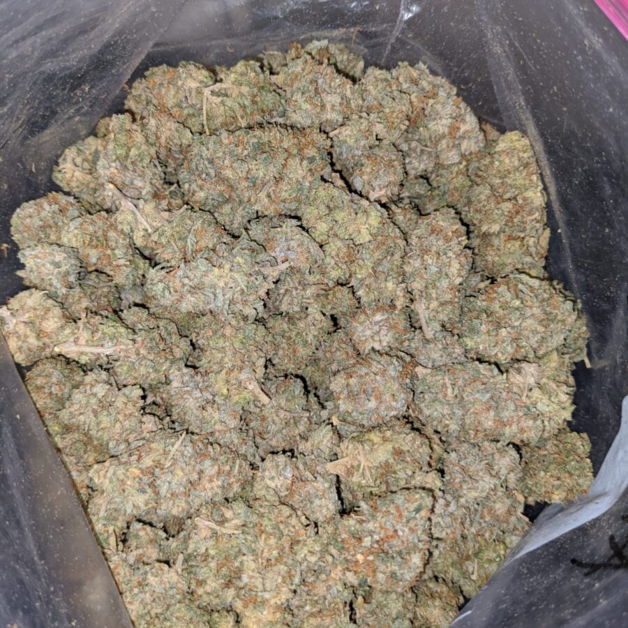 white kosher aa 4 I White Kosher AA+