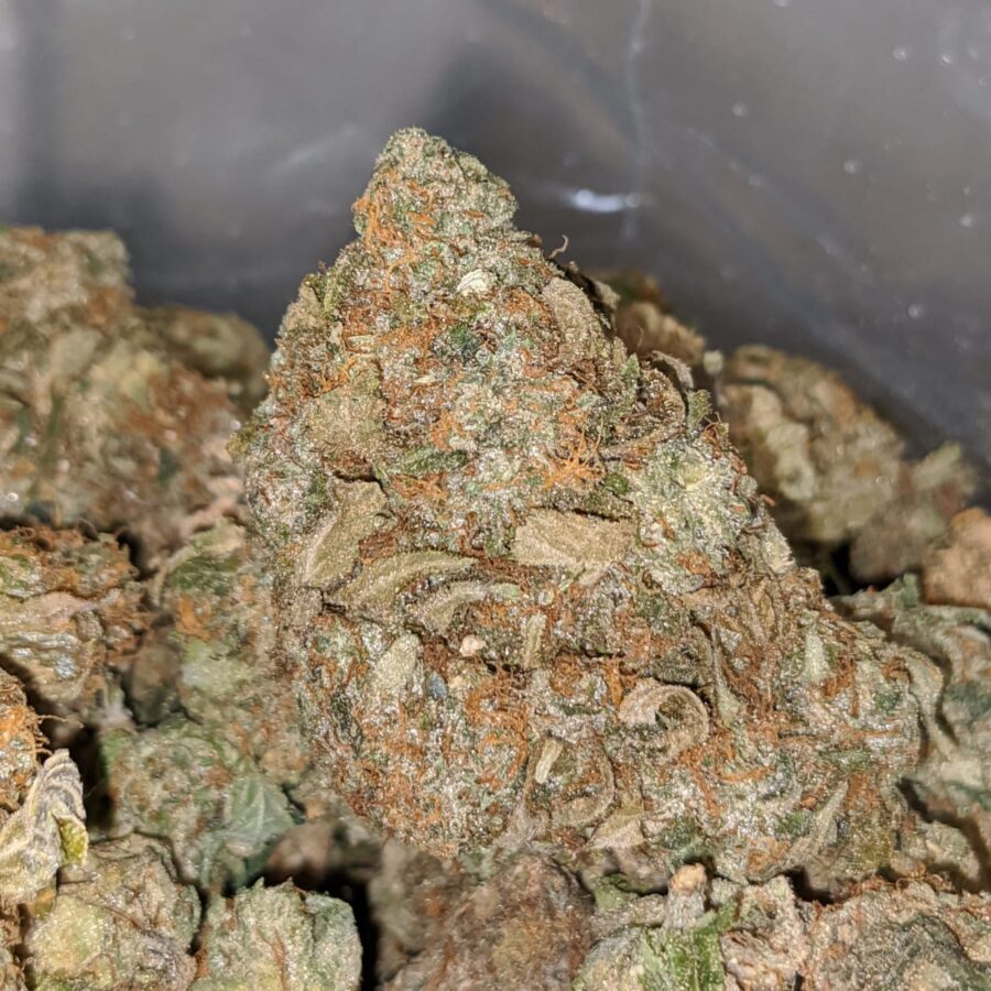 AA Green Bubba Bulk Special - Image 5