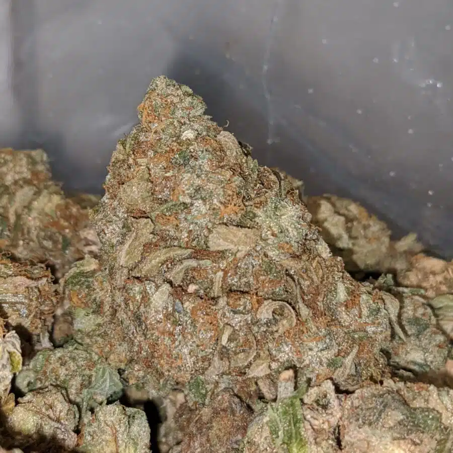 AA GREEN BUBBA BS 2 I AA Green Bubba Bulk Special