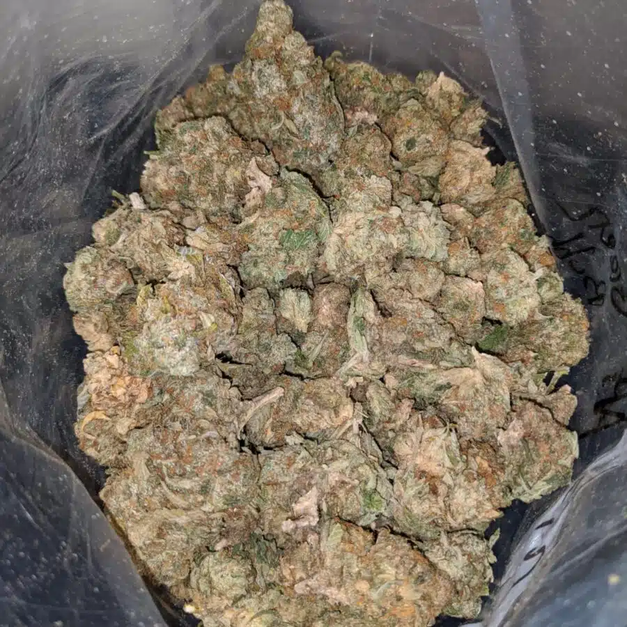 AA GREEN BUBBA BS 3 I AA Green Bubba Bulk Special