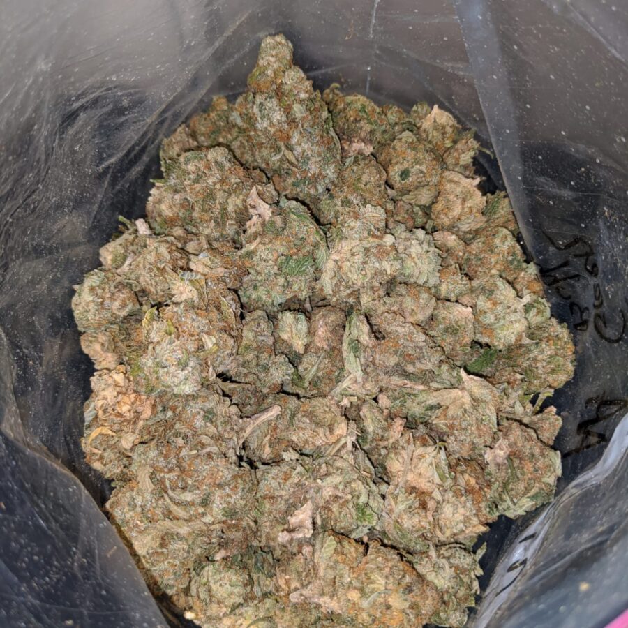 AA Green Bubba Bulk Special - Image 6