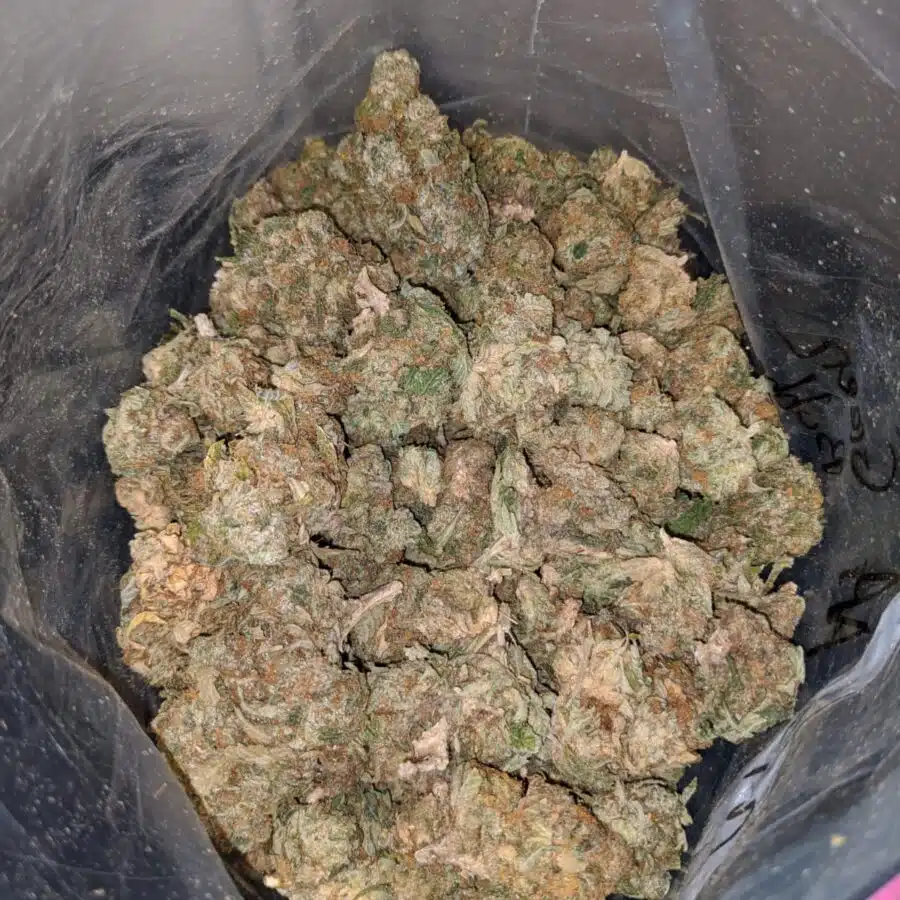 AA GREEN BUBBA BS 4 I AA Green Bubba Bulk Special