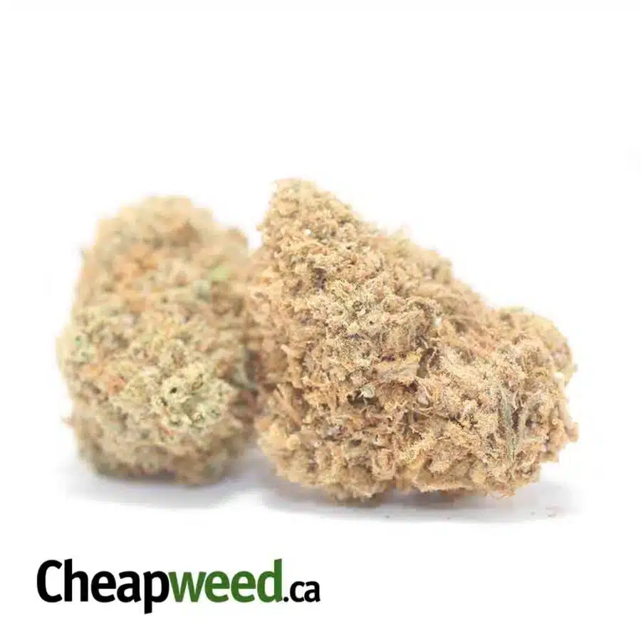 AA HB BS 3 I Headband OG - Deal of the Day