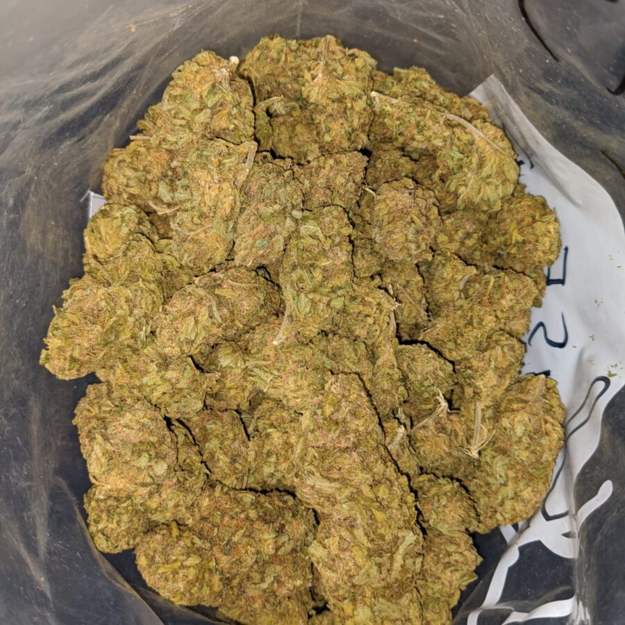 AMNESIA BS 2 I Amnesia Bulk Special