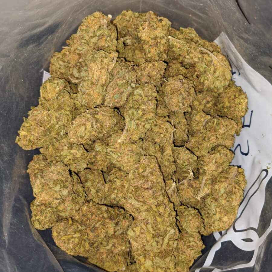 AMNESIA BS 4 I Amnesia Bulk Special