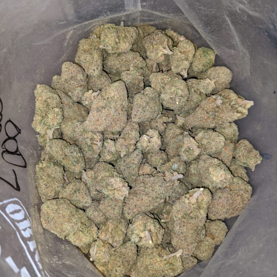 ANIMAL COOKIES DOD 2 1 I Animal Cookies - *Deal of the Day*