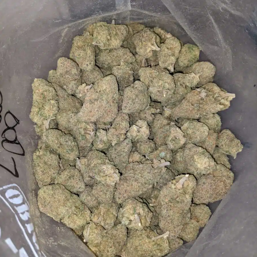 ANIMAL COOKIES DOD 2 1 I Animal Cookies - *Deal of the Day*