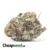 Apple Jack Bulk Special
