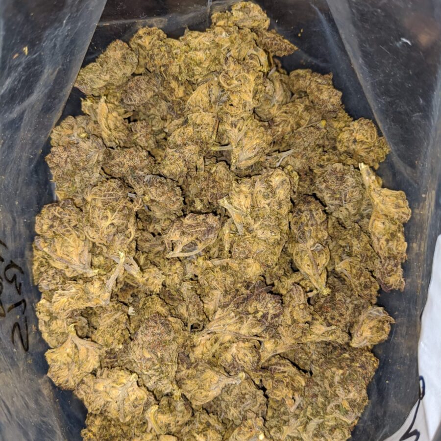 BLACK THAI BS 1 1 I Black Thai Bulk Special