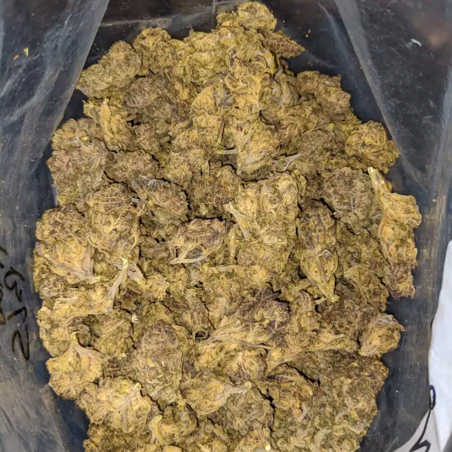BLACK THAI BS 1 1 I Black Thai Bulk Special