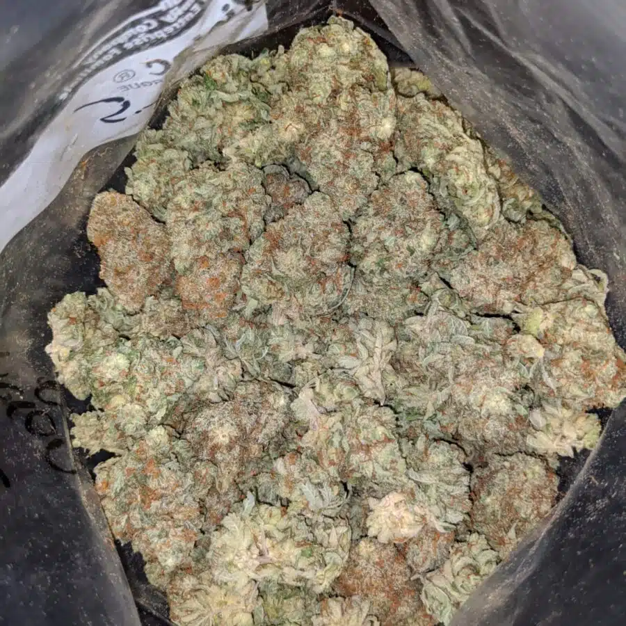 Blue Heron Bulk Special