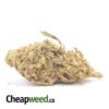 Budget Nuken Bulk Special