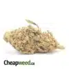 Budget Nuken Bulk Special