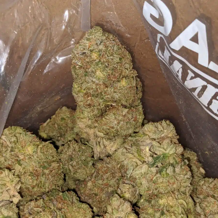 Black Afghani 2 I Black Afghani