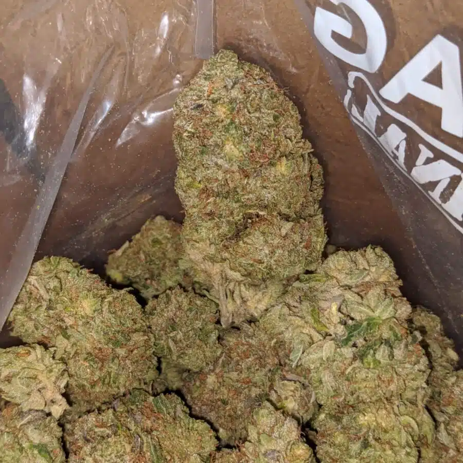 Black Afghani 3 I Black Afghani
