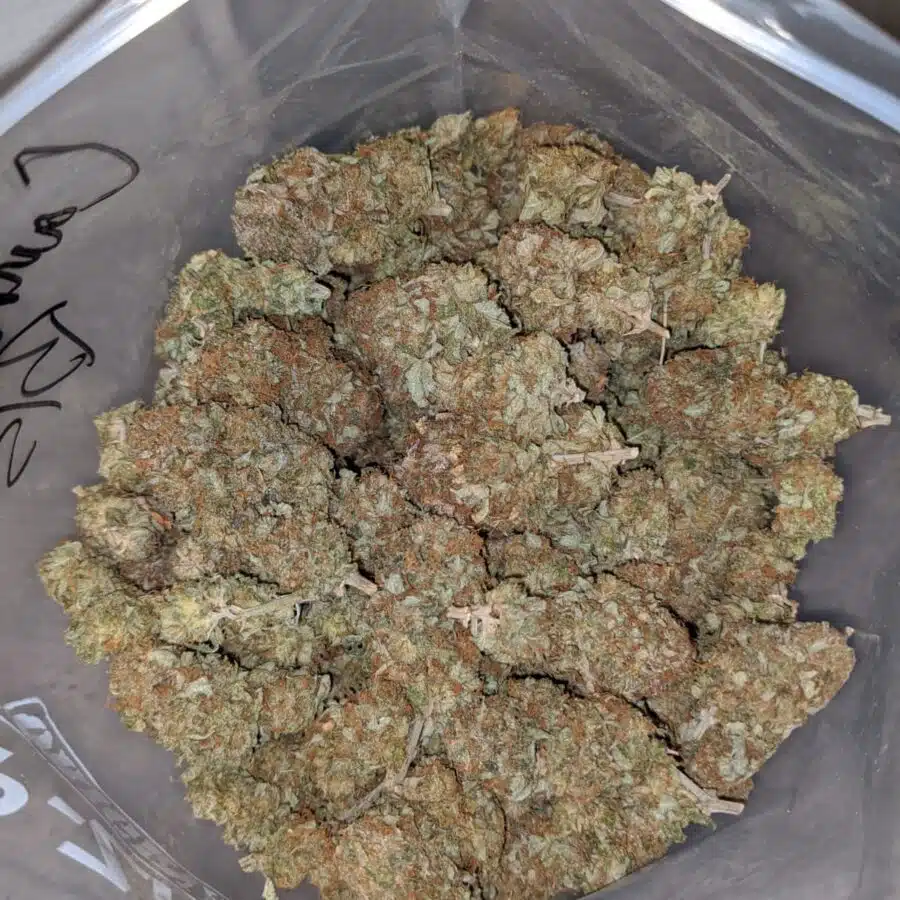 CANNALOPE BS 4 I Cannalope Haze Bulk Special