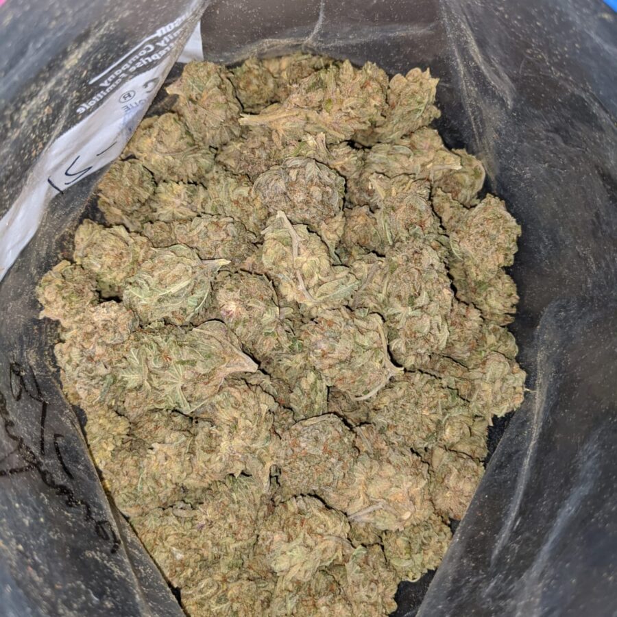 CHEMDAWG BS 2 I Chemdawg Bulk Special