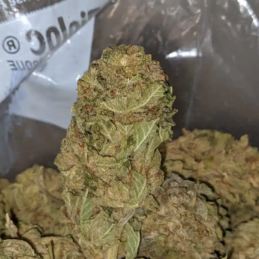 CHEMDAWG BS 3 I Chemdawg Bulk Special