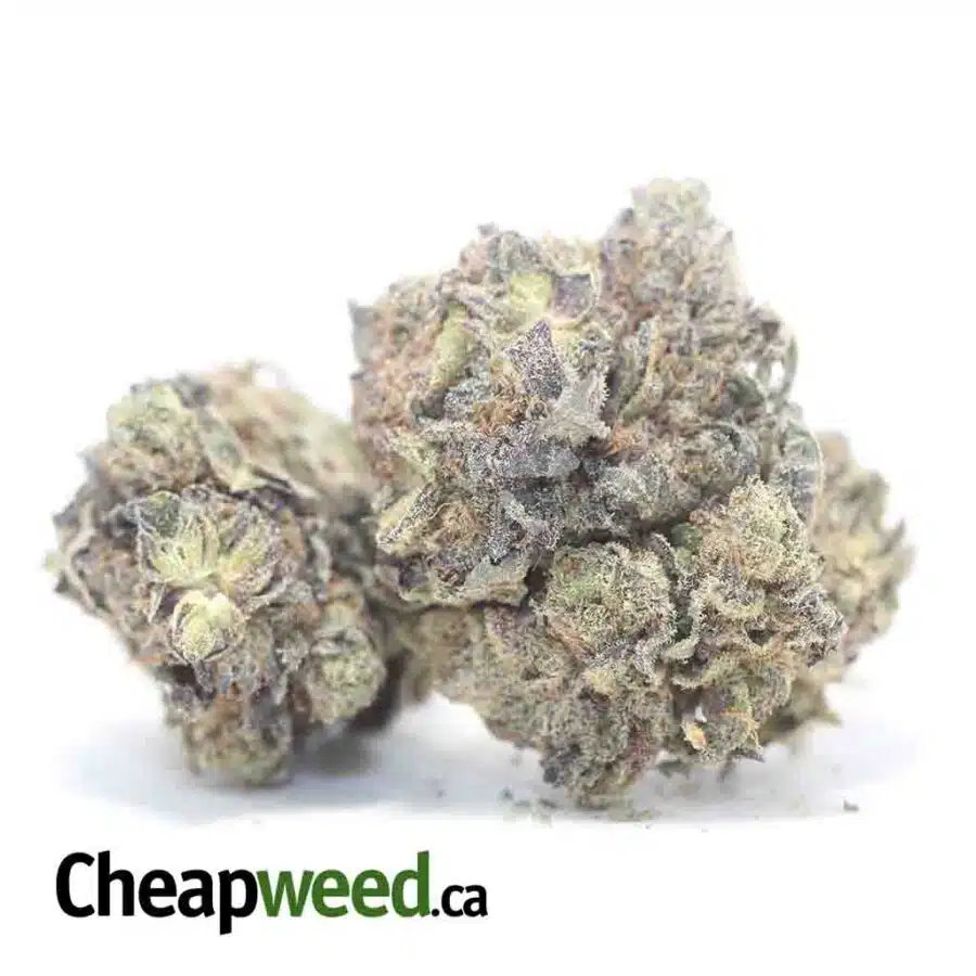 Alternative view of Durban Poison Bulk Special