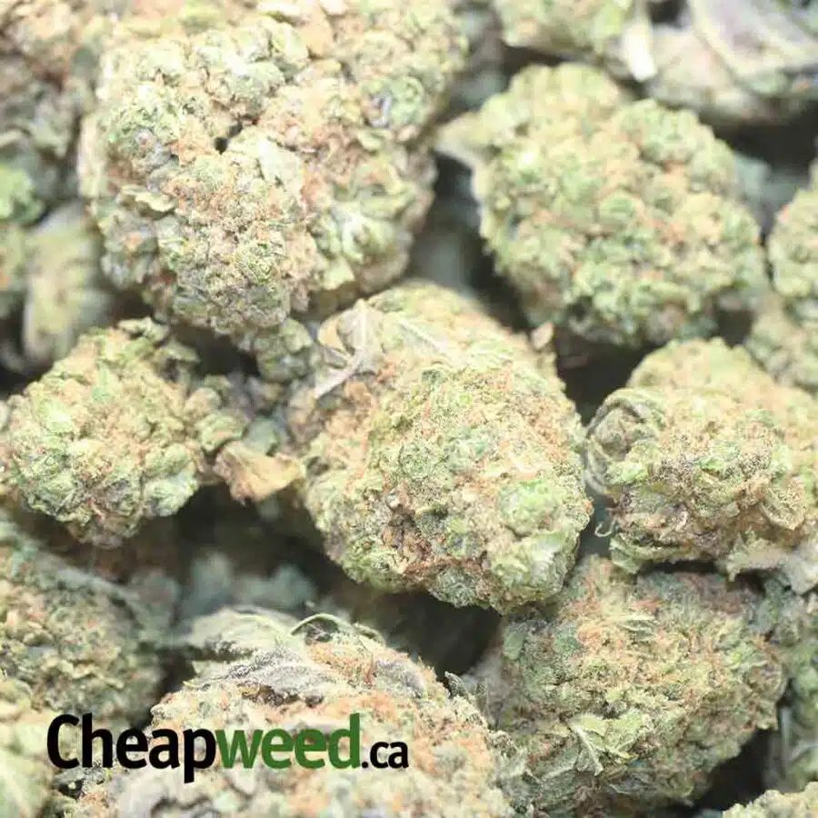 FRUITYP EBBLES 1 I $59 Oz - Fruity Pebbles