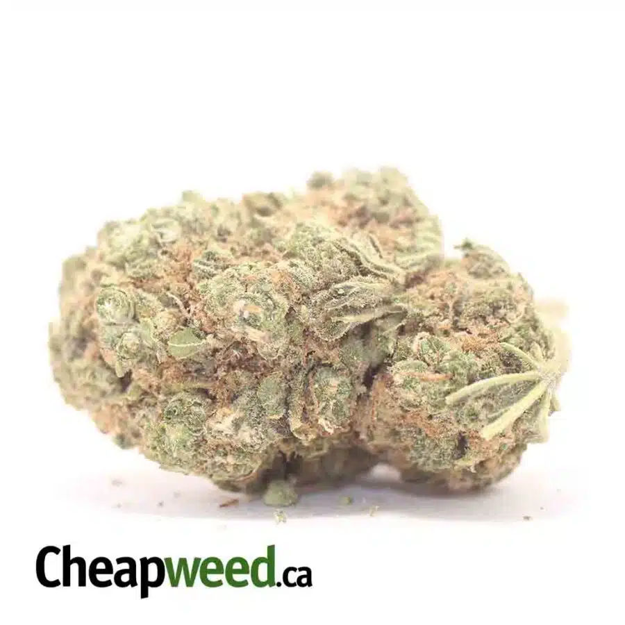 $59 Oz - Fruity Pebbles