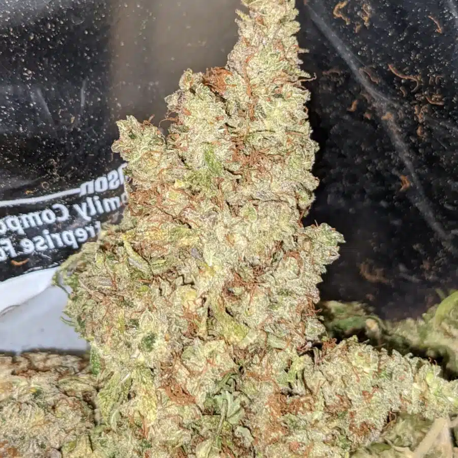 G13 BS 3 1 I G-13 Bulk Special