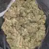 G-13 Bulk Special