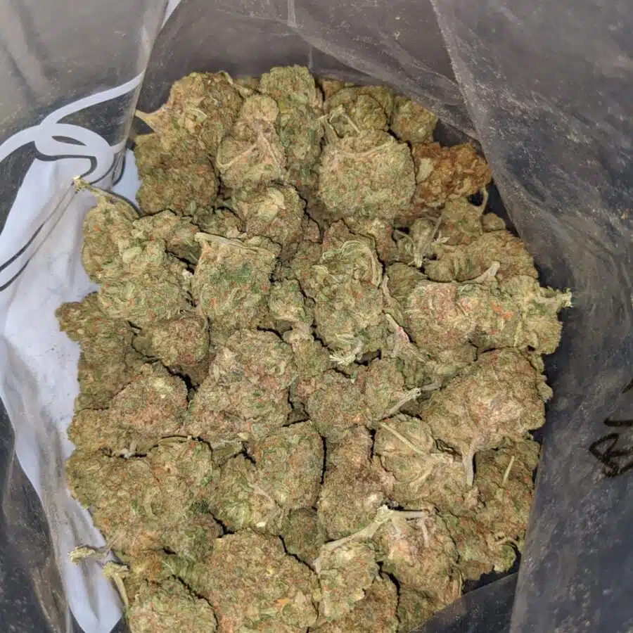GHOST BUBBA BS 2 I Ghost Bubba Bulk Special