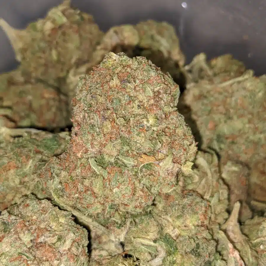 GHOST BUBBA BS 3 I Ghost Bubba Bulk Special