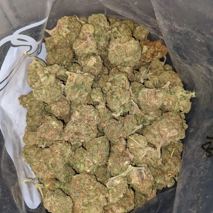 GHOST BUBBA BS 4 I Ghost Bubba Bulk Special