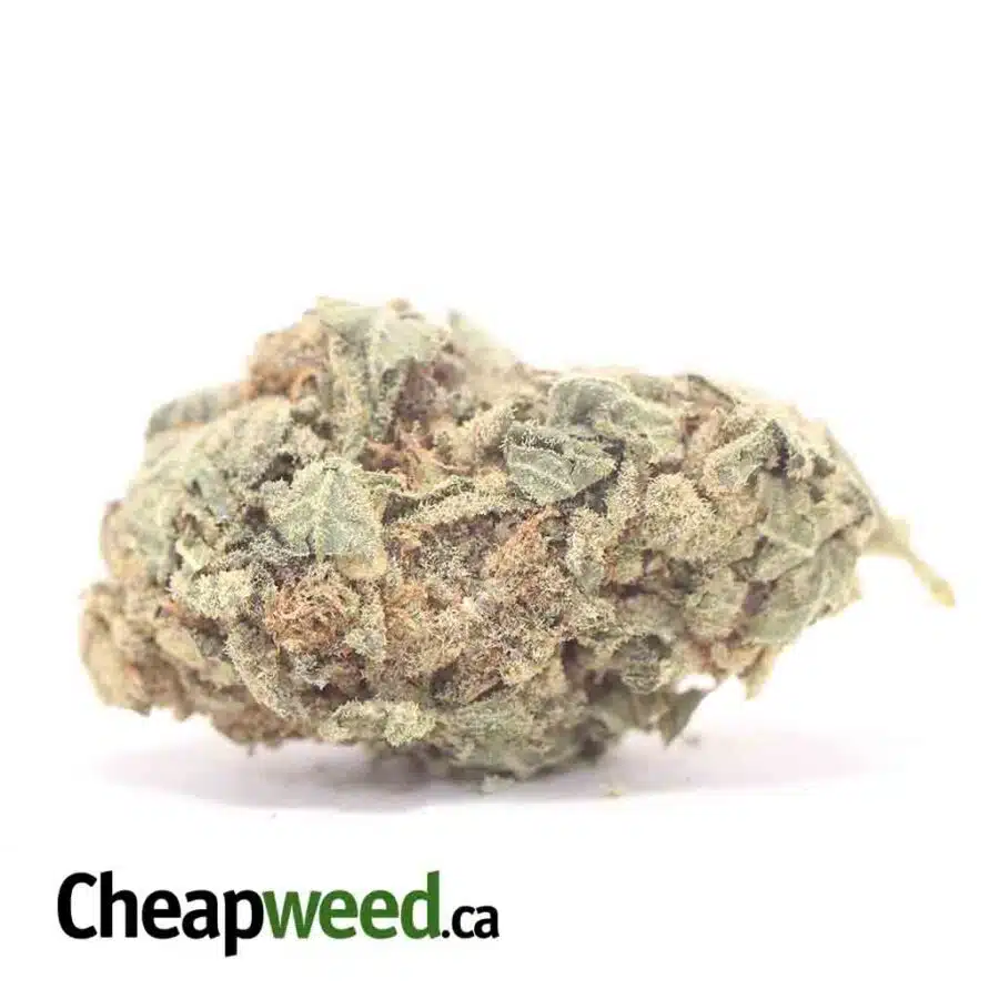 $49 Oz - VeryBerry