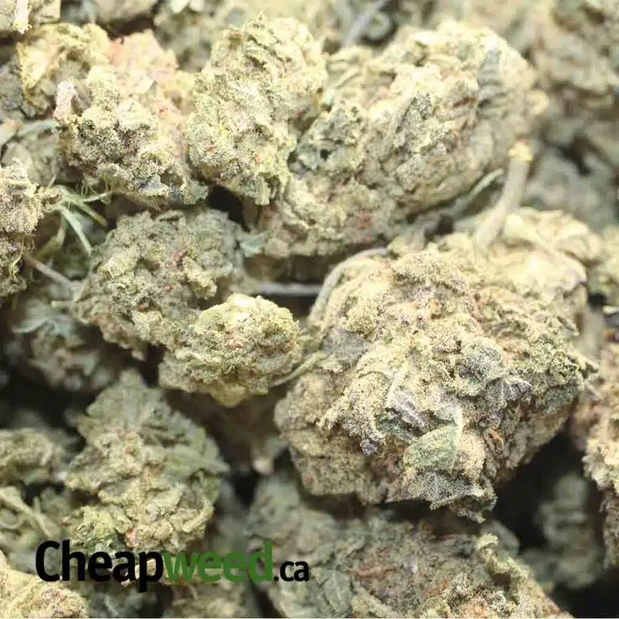GOJI BERRY 2 I $49 Oz - VeryBerry
