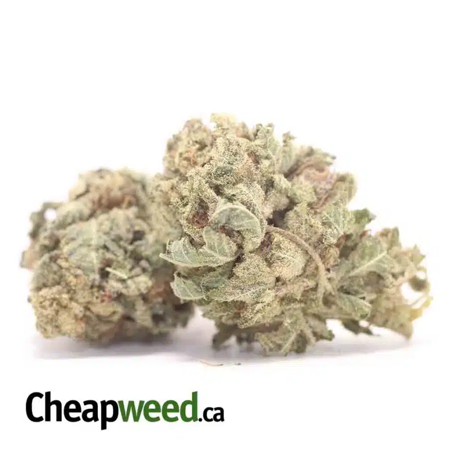 Alternative view of $49 Oz - VeryBerry