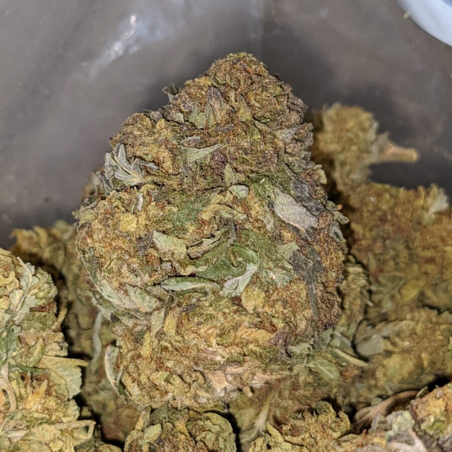 GREEN BUBBA BS 1 I Green Bubba Bulk Special