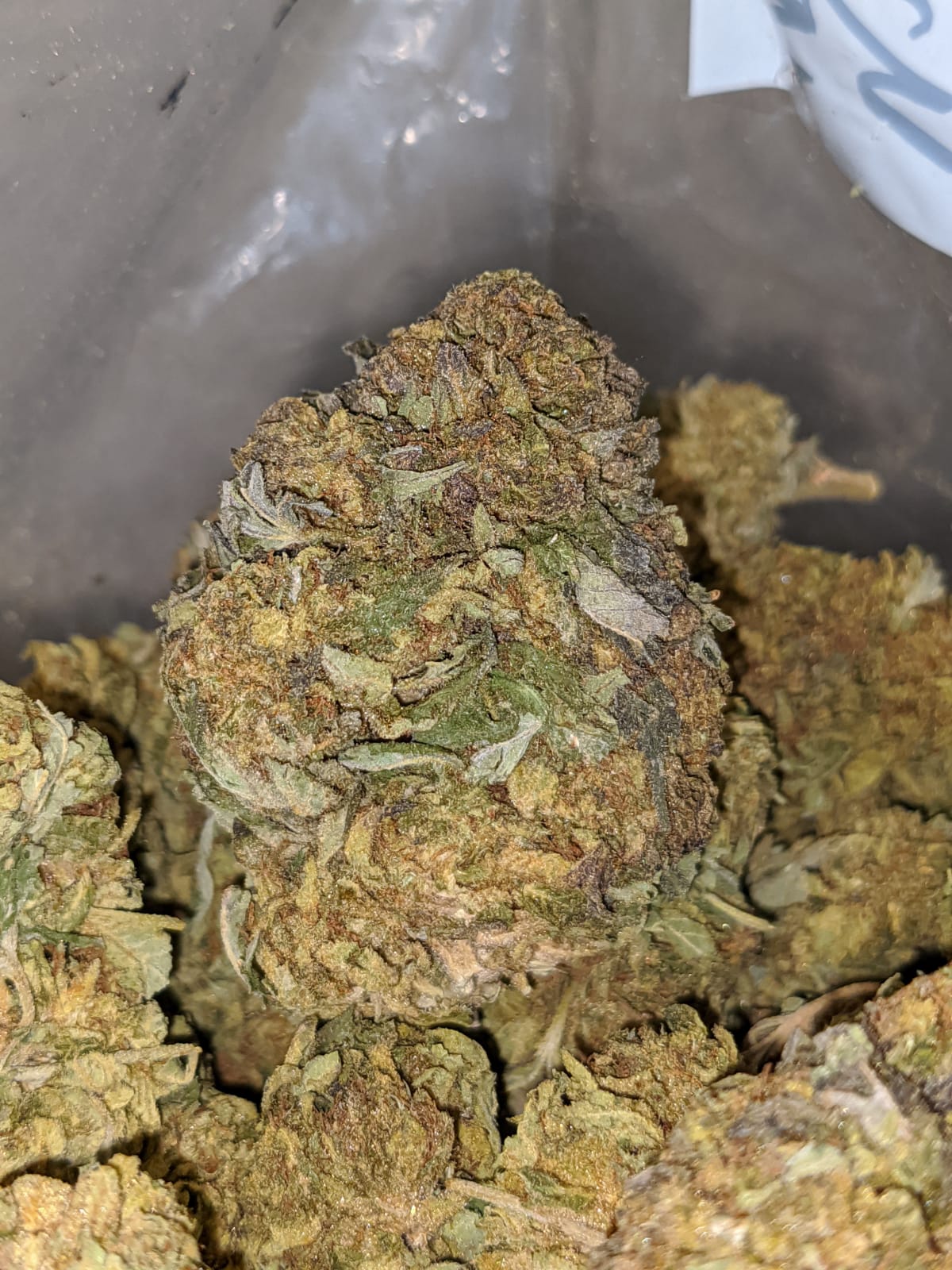 Green Bubba Bulk Special - Image 6
