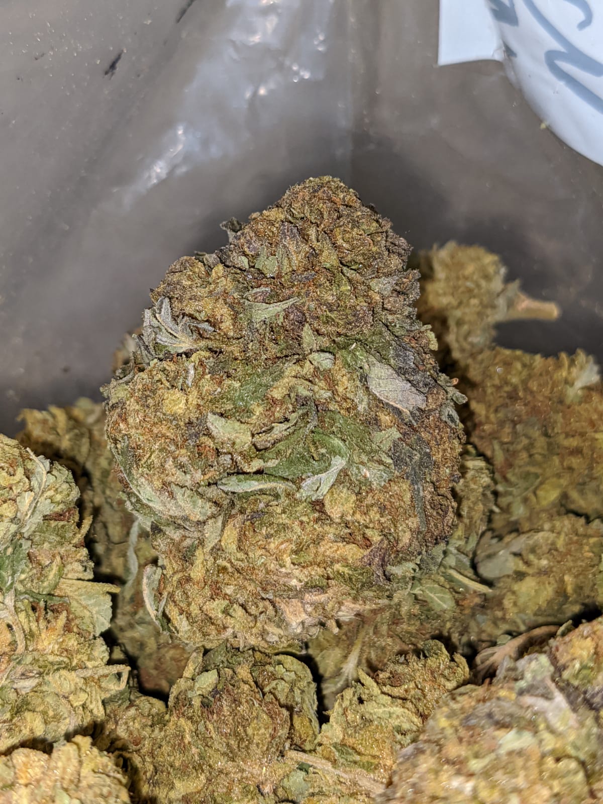 Green Bubba Bulk Special - Image 7