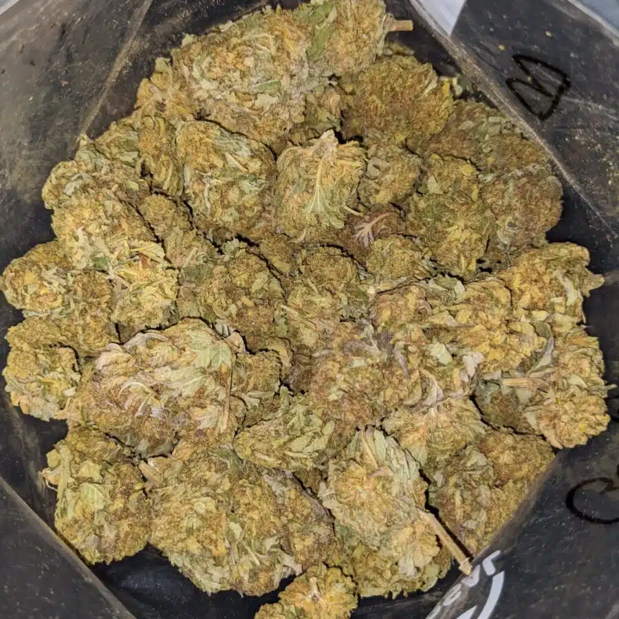 GREEN BUBBA BS 4 I Green Bubba Bulk Special