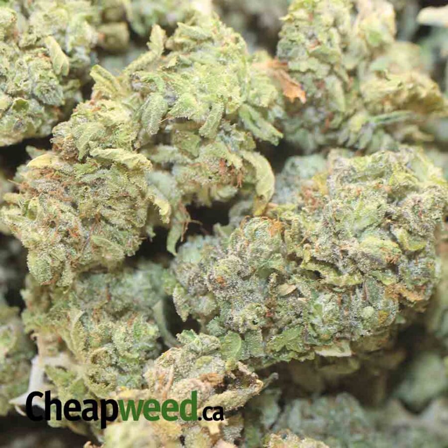 HAWAIIAN PINEAPPLE 1 I Hawaiian Pineapple - *Deal Of The Day*